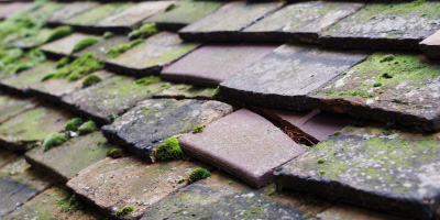 Brynteg roof repair costs
